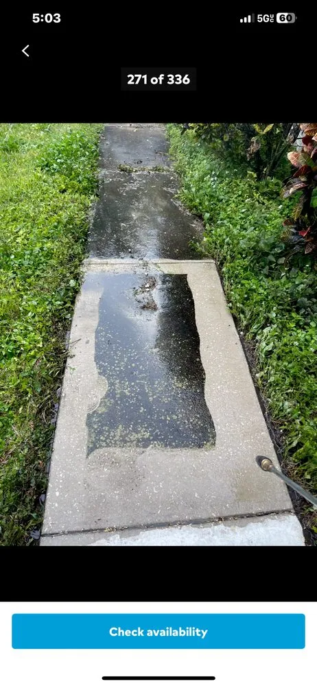 Affordable yard maintenance in Riverview, FL - David Rene Custom Services