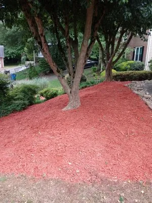 David Sanders Pine straw And More Logo