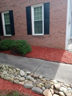 David Sanders Pinestraw Logo