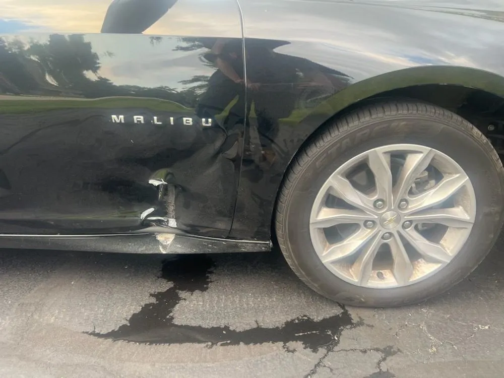 Expert yard cleanup service in Schaumburg, IL by David Torres Landscaping