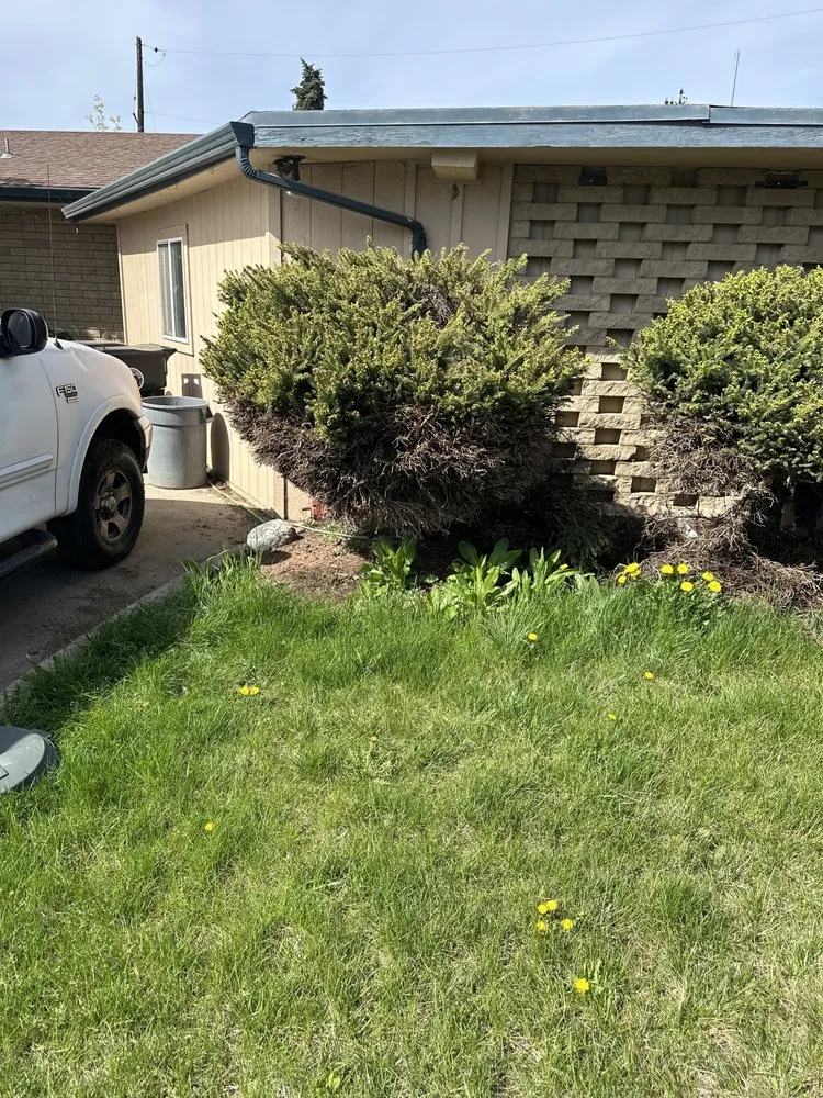 Local landscape installation for year-round maintenance in Yakima, WA by David Vargas Landscaping