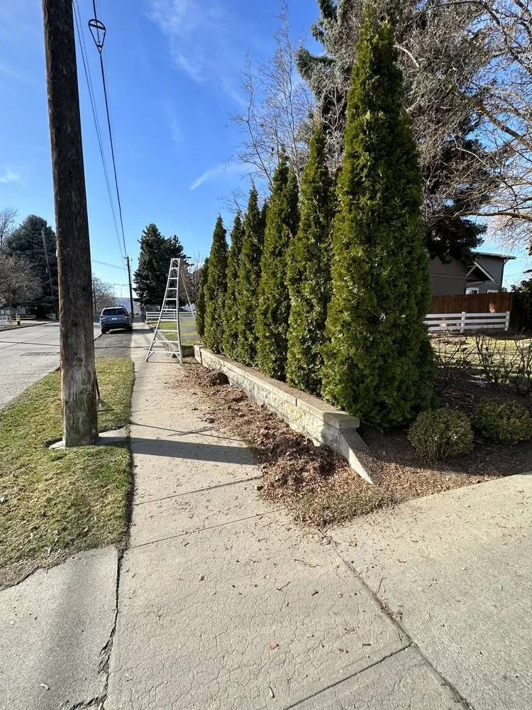 Custom yard cleanup service experts serving Yakima, WA - David Vargas Landscaping