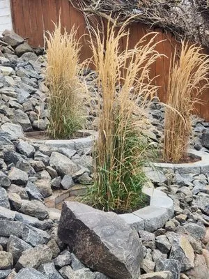 David Vargas Landscaping