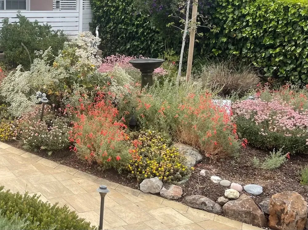 Expert yard maintenance in Walnut Creek, CA - David Weise Landscaping