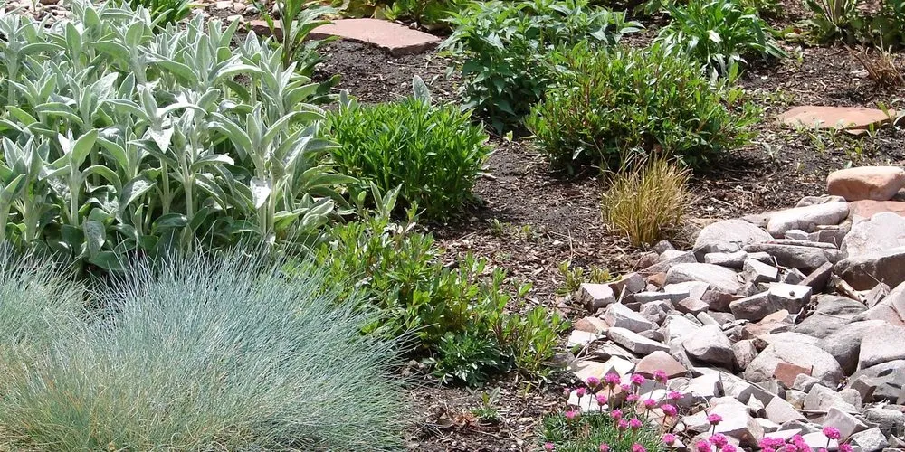 Reliable landscape installation in Walnut Creek, CA - David Weise Landscaping
