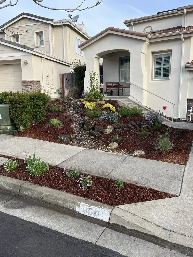 Expert landscape installation in Walnut Creek, CA - David Weise Landscaping