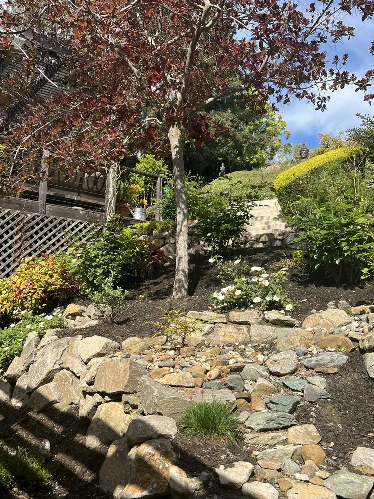 Expert landscape design experts serving Walnut Creek, CA - David Weise Landscaping