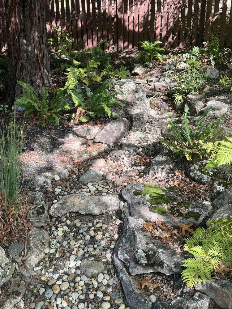 Trusted residential landscaping in Walnut Creek, CA - David Weise Landscaping