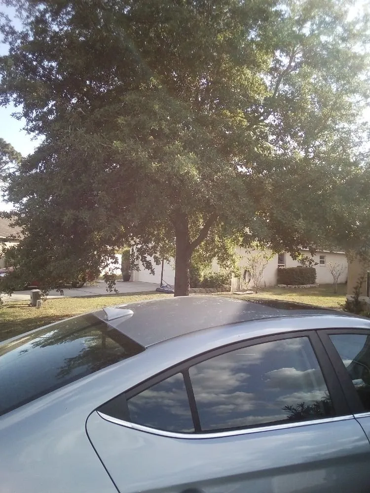 Expert lawn mowing service with custom design across Orlando, FL - David White Lawn Care