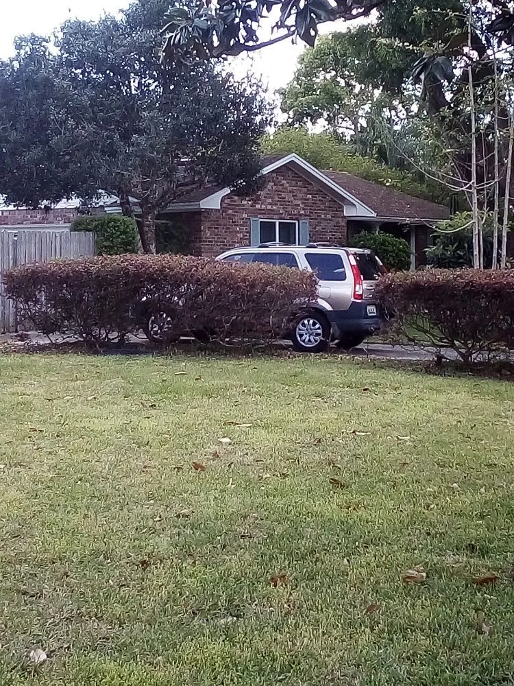 Professional yard cleanup service for year-round maintenance in Orlando, FL by David White Lawn Care