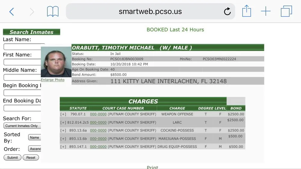 Affordable lawn mowing service experts serving Interlachen, FL - David Wilkes Tree & Lawn Services