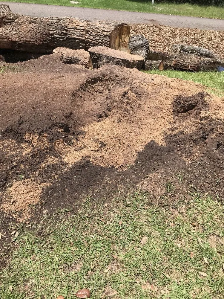 Professional lawn care service in Interlachen, FL by David Wilkes Tree & Lawn Services