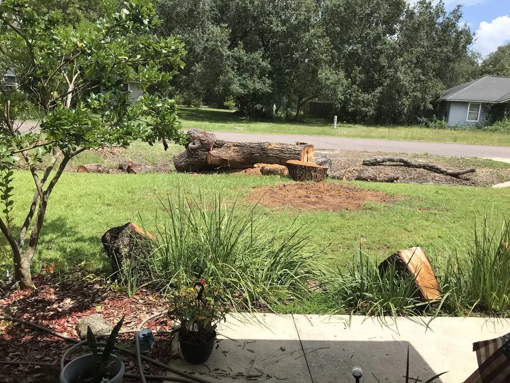 Top-rated outdoor landscaping in Interlachen, FL by David Wilkes Tree & Lawn Services