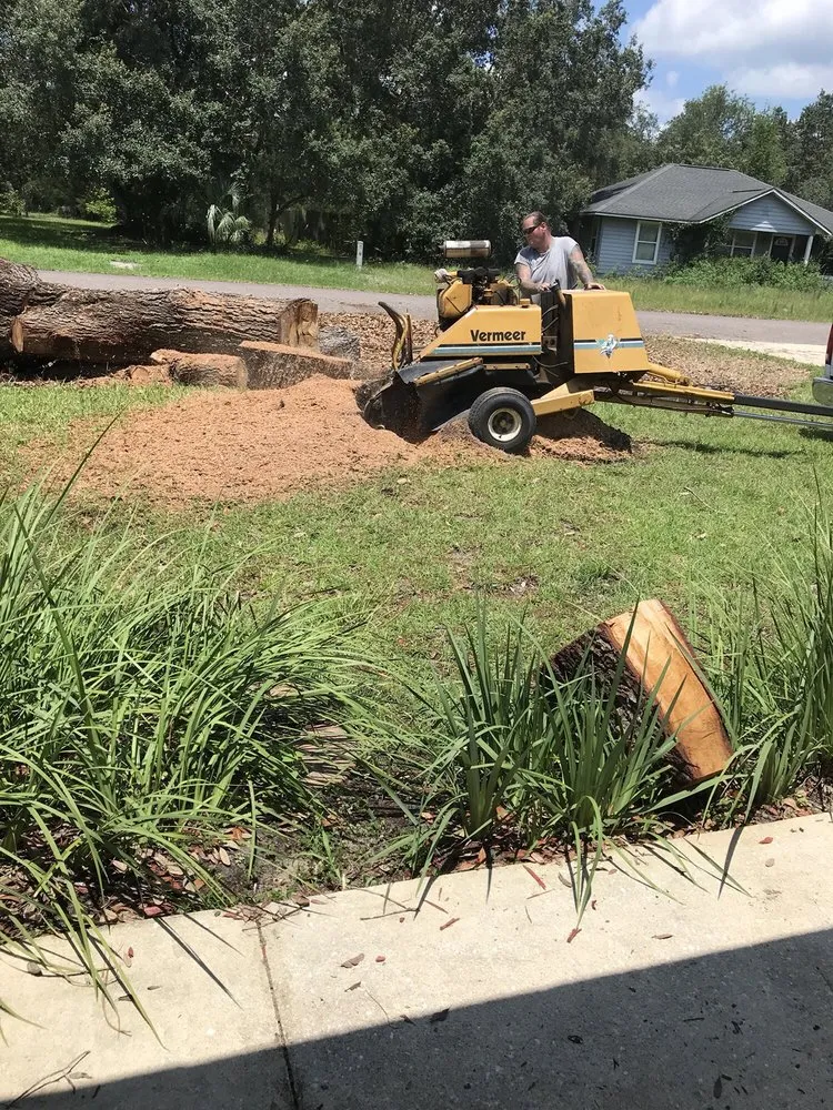 Reliable lawn mowing service near you in Interlachen, FL by David Wilkes Tree & Lawn Services