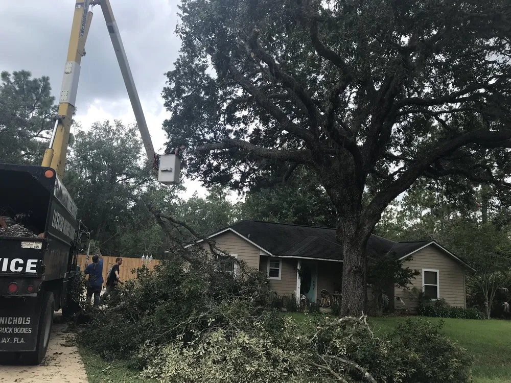 Professional landscaping services for residential properties in Interlachen, FL by David Wilkes Tree & Lawn Services