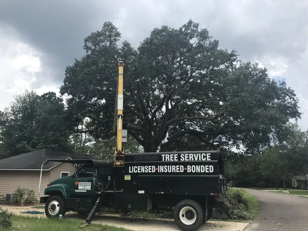 Affordable garden landscaping in Interlachen, FL by David Wilkes Tree & Lawn Services