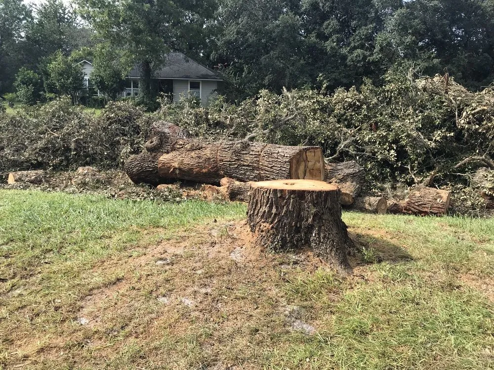 Trusted landscape design near you in Interlachen, FL by David Wilkes Tree & Lawn Services