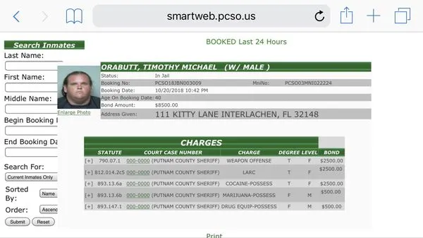 David Wilkes Tree & Lawn Services