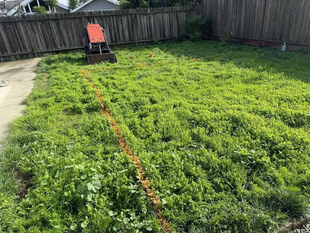 Top-rated landscape design in San Bruno, CA by David Zocca Gardening Service