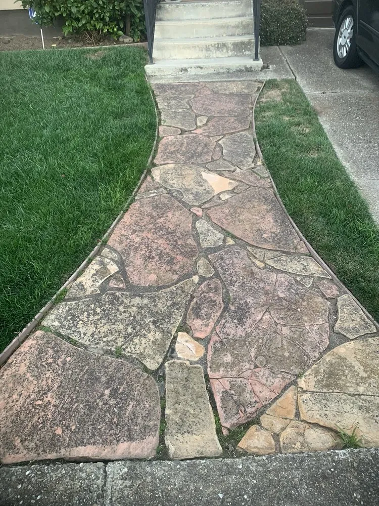 Expert landscaping services for year-round maintenance in San Bruno, CA by David Zocca Gardening Service