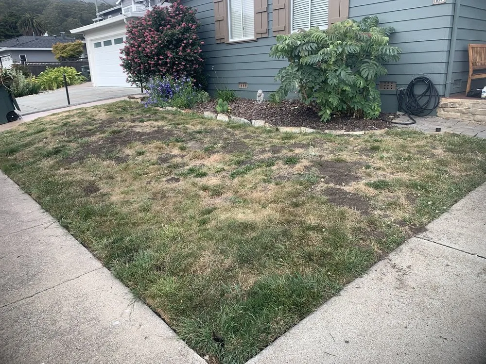 Professional landscape design in San Bruno, CA - David Zocca Gardening Service