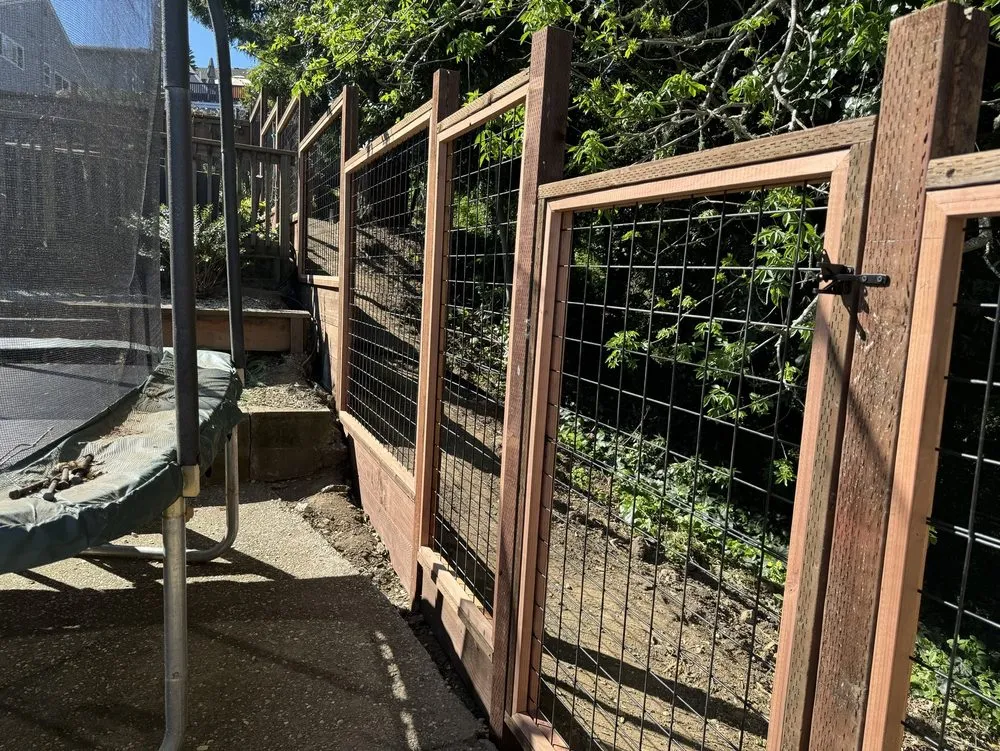 Expert yard cleanup service in San Bruno, CA - David Zocca Gardening Service