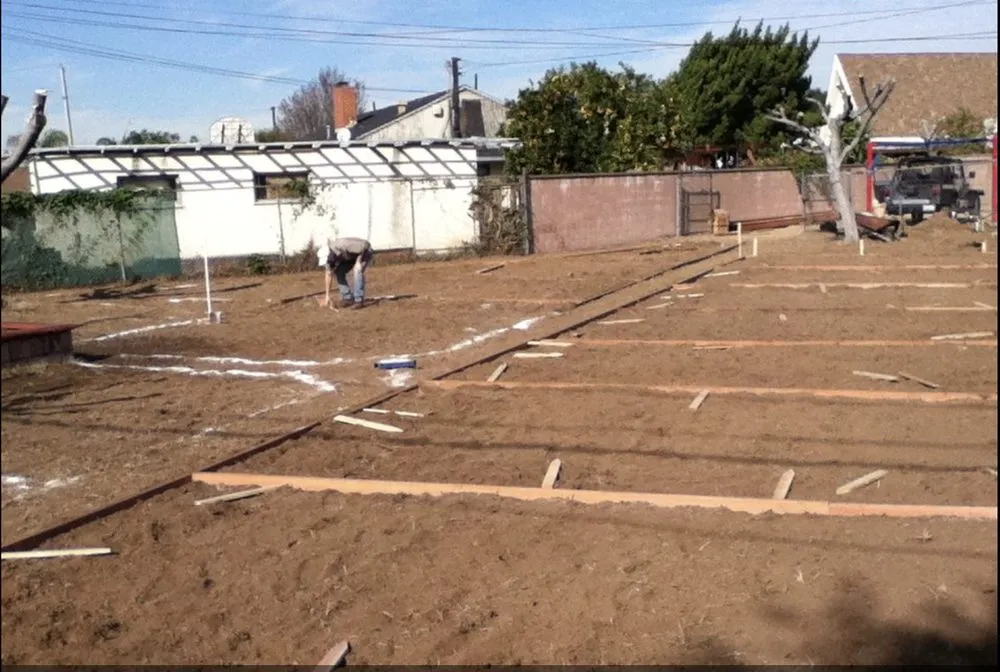 Local lawn care service for year-round maintenance across Whittier, CA - David Zoellner Landscape