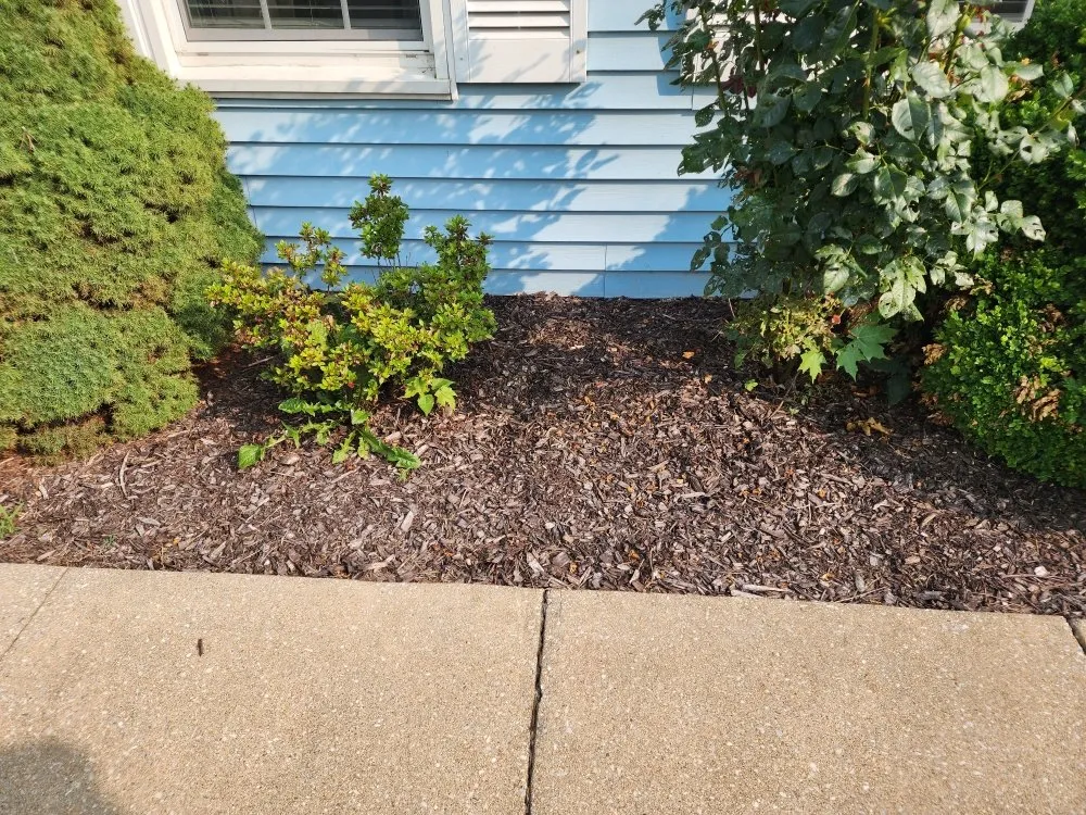 Affordable outdoor landscaping in East Earl, PA by Davido Lawn Care