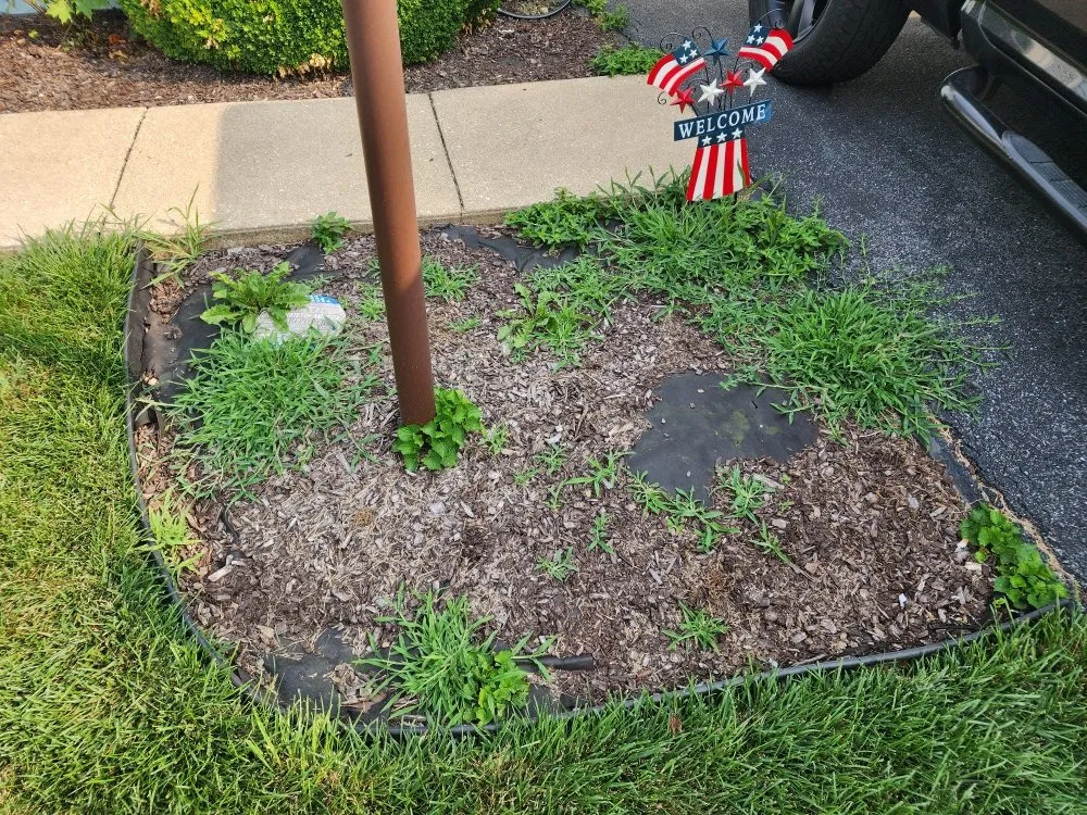 Affordable yard maintenance for residential properties across East Earl, PA - Davido Lawn Care