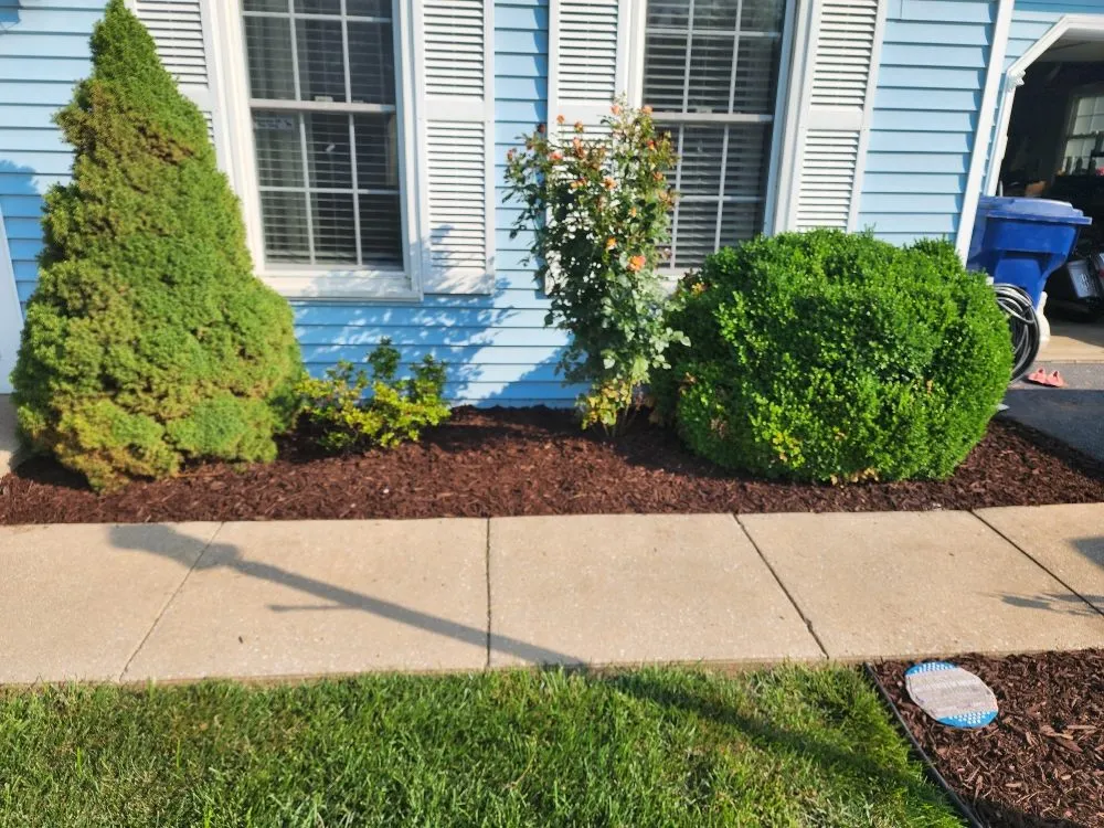 Expert landscape design near you in East Earl, PA by Davido Lawn Care