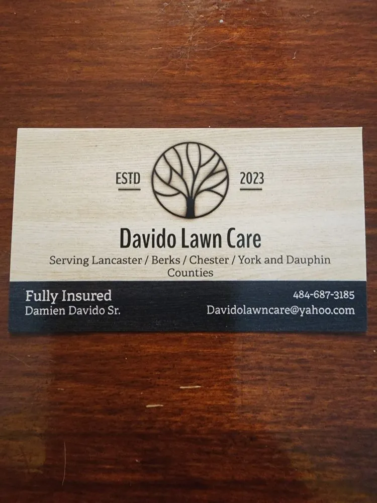 Professional yard maintenance in East Earl, PA by Davido Lawn Care