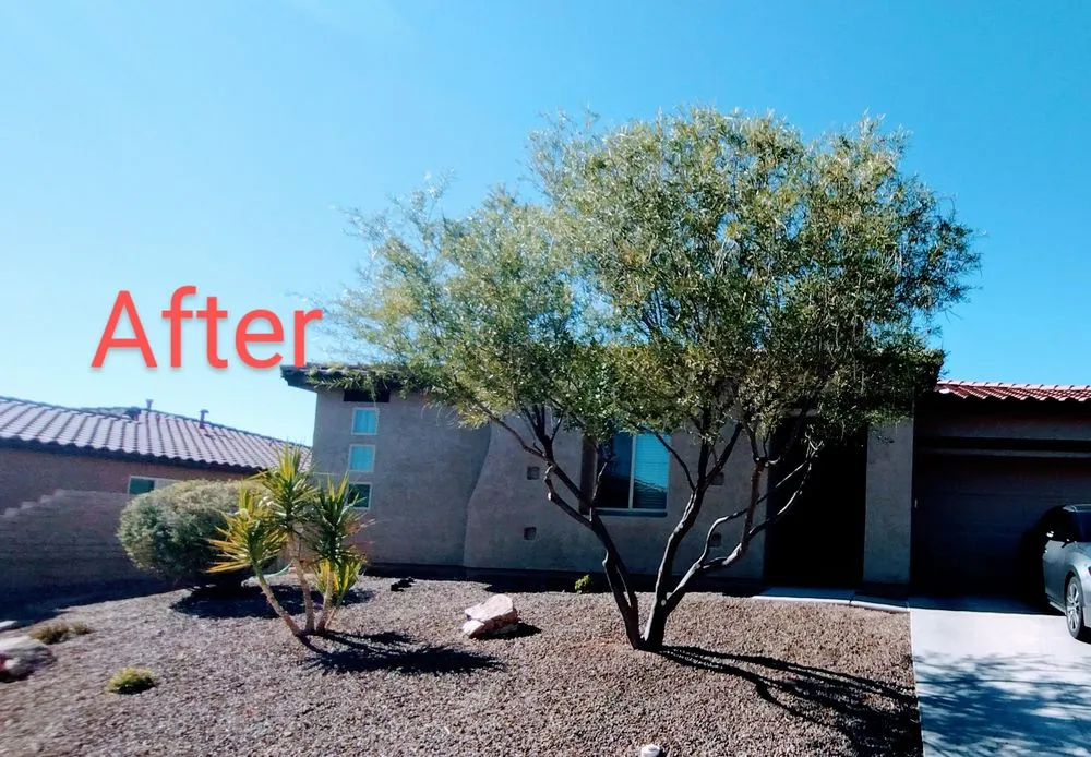 Expert landscape installation with custom design across Tucson, AZ - David's All in One Yard Services