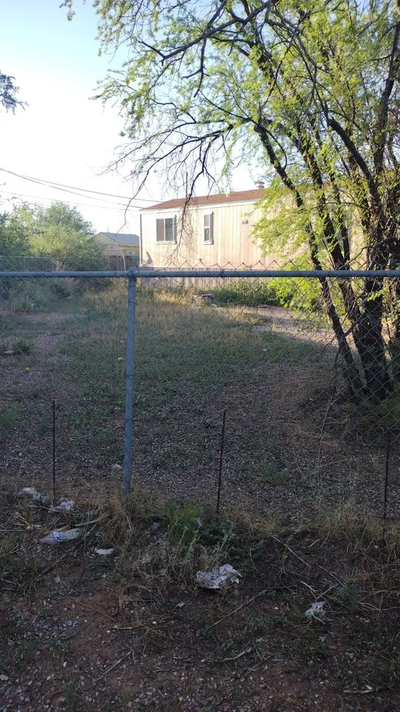 Top-rated outdoor landscaping for year-round maintenance in Tucson, AZ by David's All in One Yard Services