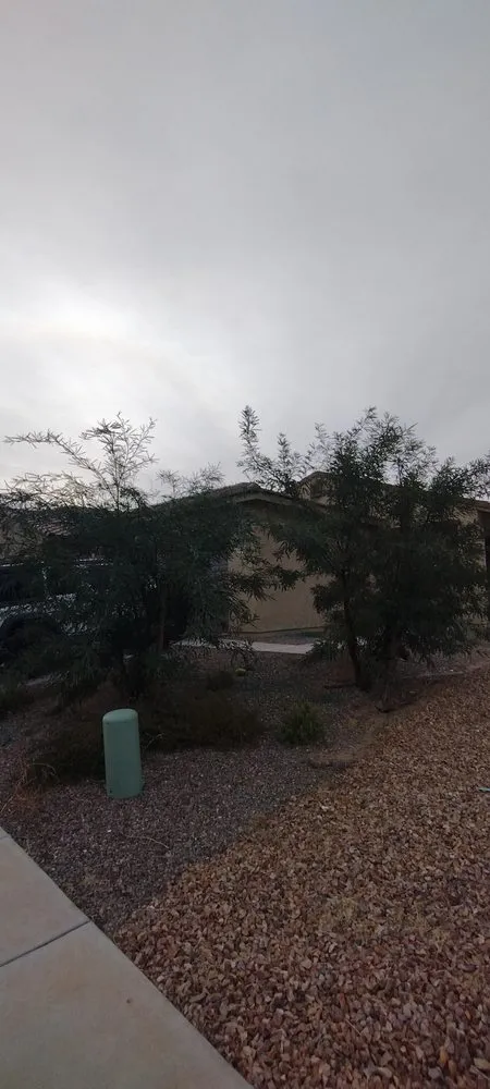 Local outdoor landscaping experts serving Tucson, AZ - David's All in One Yard Services