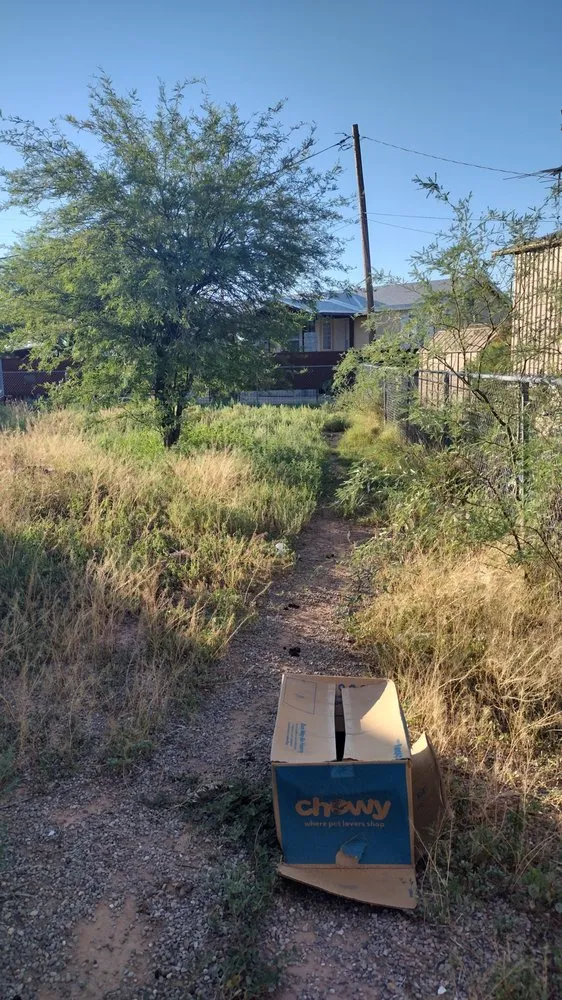 Trusted yard cleanup service for residential properties across Tucson, AZ - David's All in One Yard Services