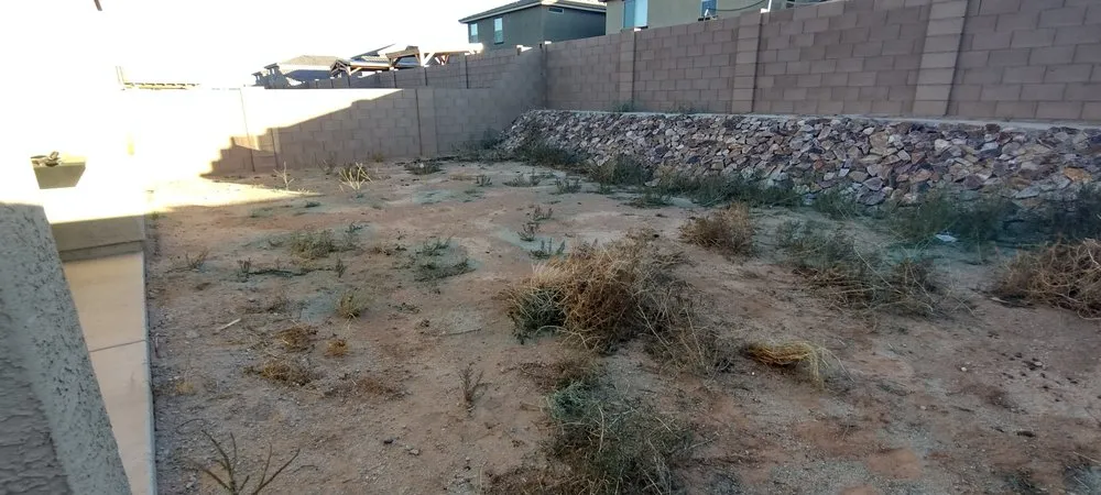 Custom garden landscaping for outdoor upgrades in Tucson, AZ by David's All in One Yard Services