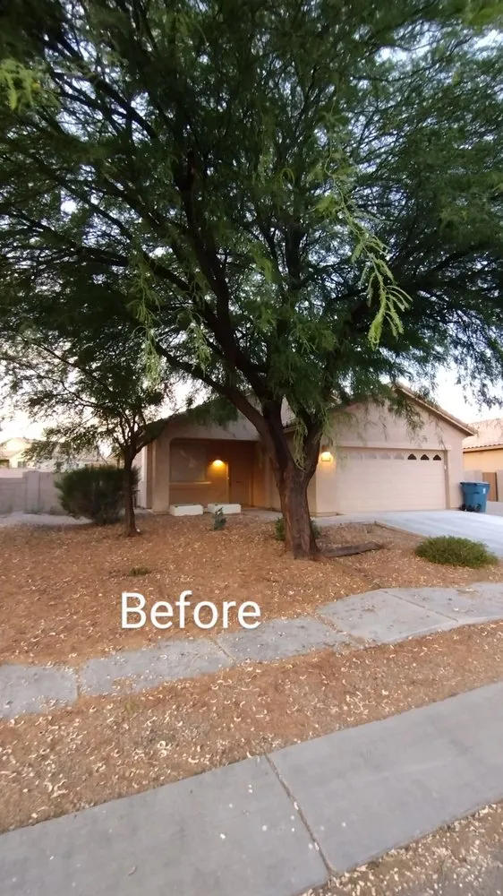 Reliable residential landscaping for outdoor upgrades across Tucson, AZ - David's All in One Yard Services