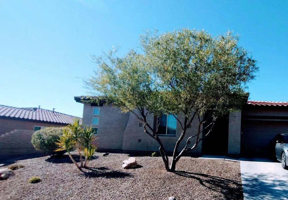 Professional yard cleanup service experts serving Tucson, AZ - David's All in One Yard Services