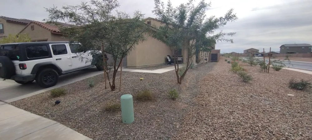 Trusted landscape design in Tucson, AZ - David's All in One Yard Services