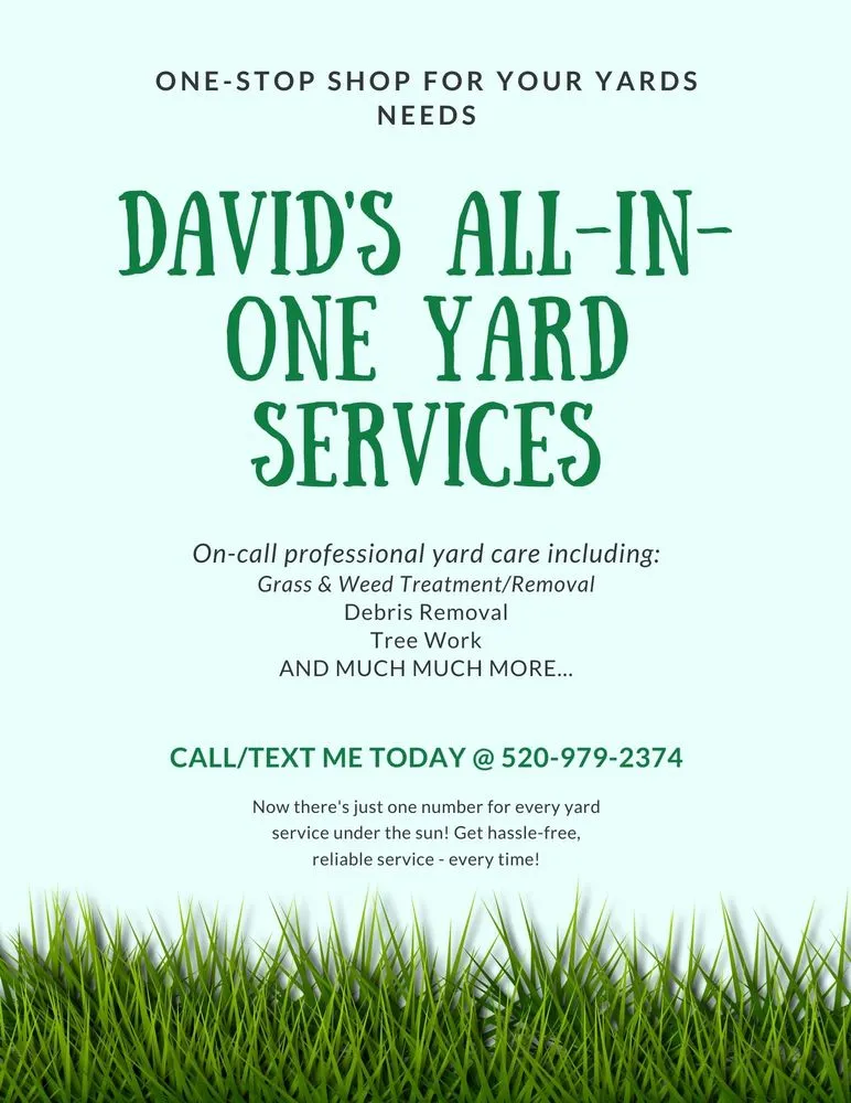 Expert residential landscaping for outdoor upgrades in Tucson, AZ by David's All in One Yard Services