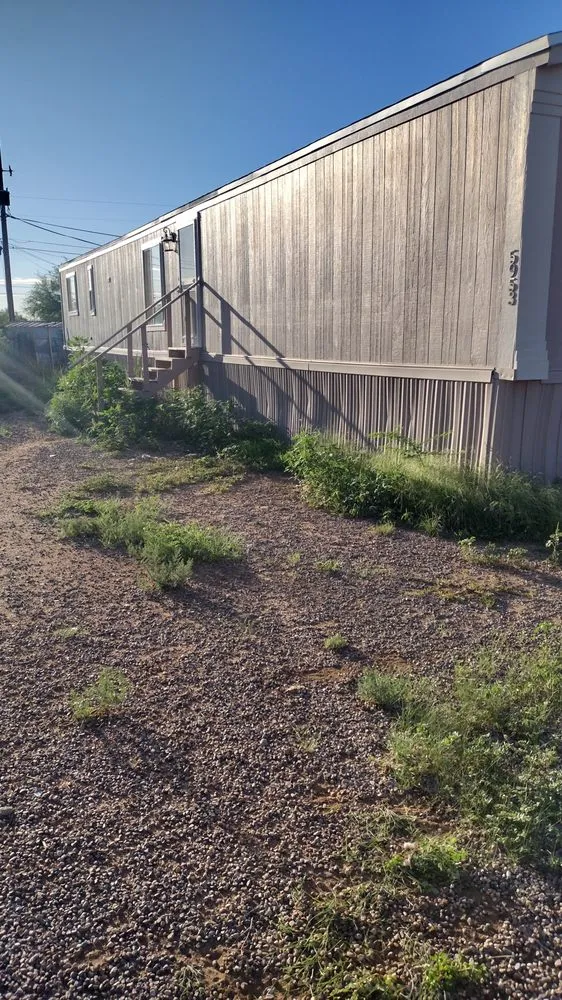 Affordable landscaping services in Tucson, AZ - David's All in One Yard Services