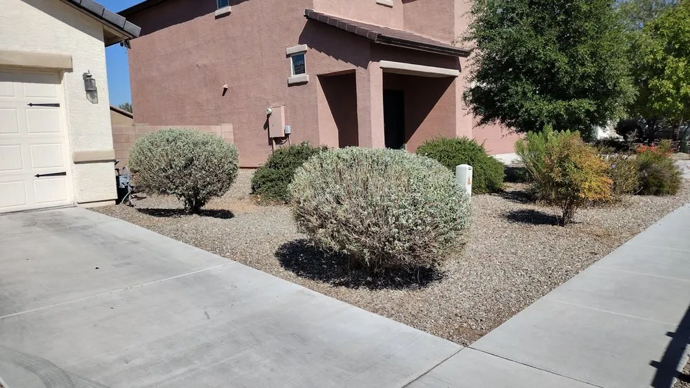 Trusted landscaping services in Tucson, AZ - David's All in One Yard Services
