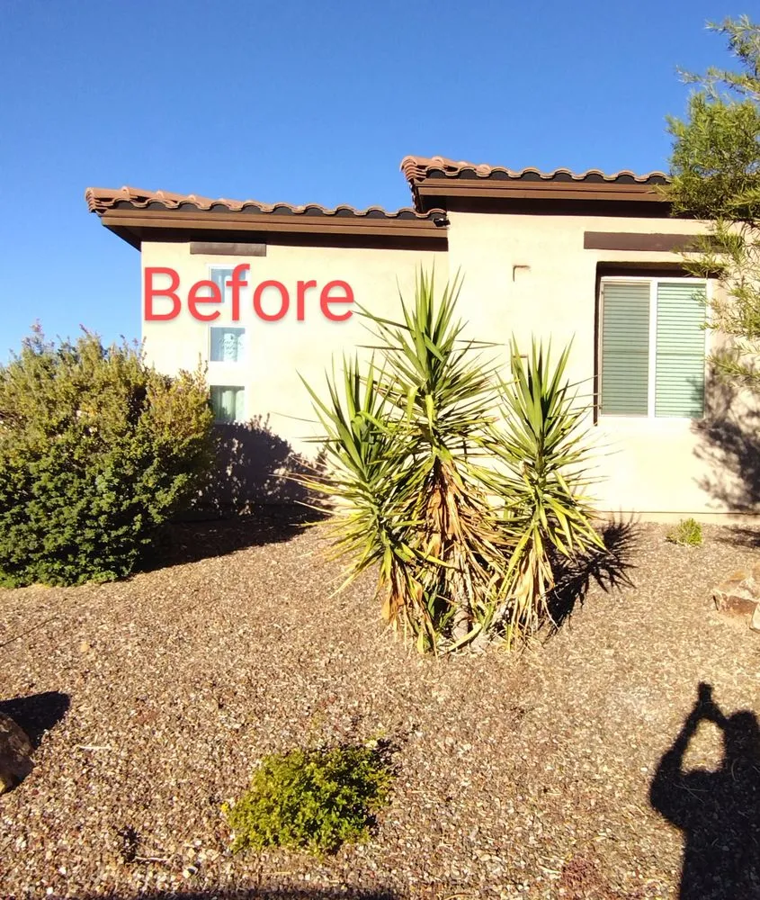 Trusted yard maintenance for outdoor upgrades across Tucson, AZ - David's All in One Yard Services