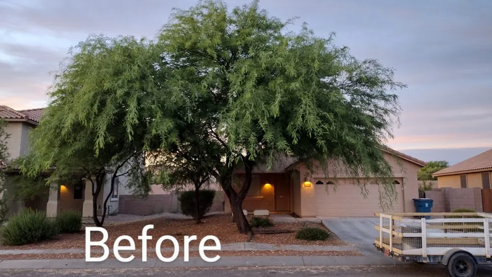 Trusted residential landscaping in Tucson, AZ - David's All in One Yard Services