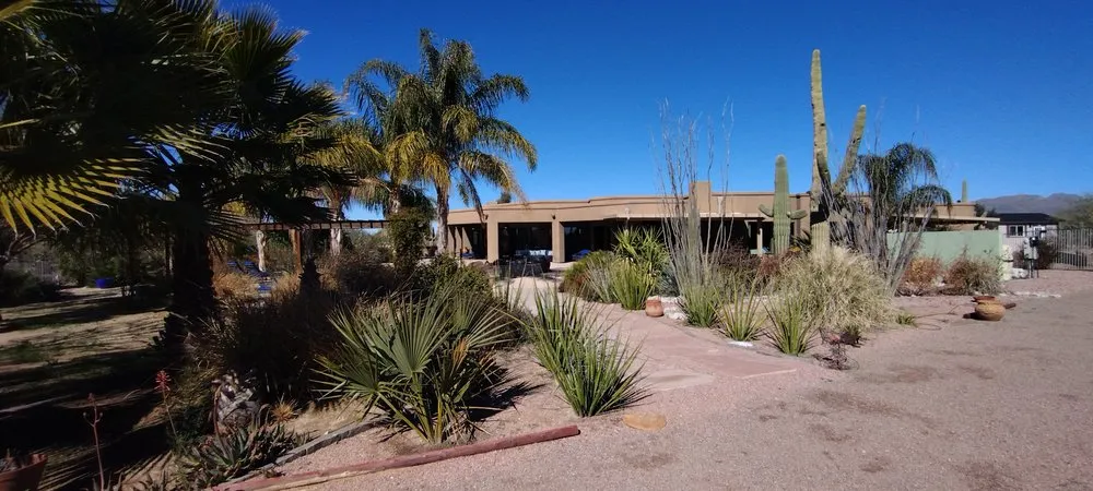 Top-rated yard cleanup service for homes across Tucson, AZ - David's All in One Yard Services