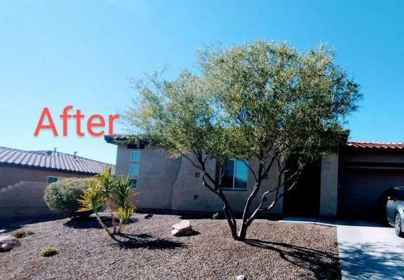 David's All in One Yard Services Logo