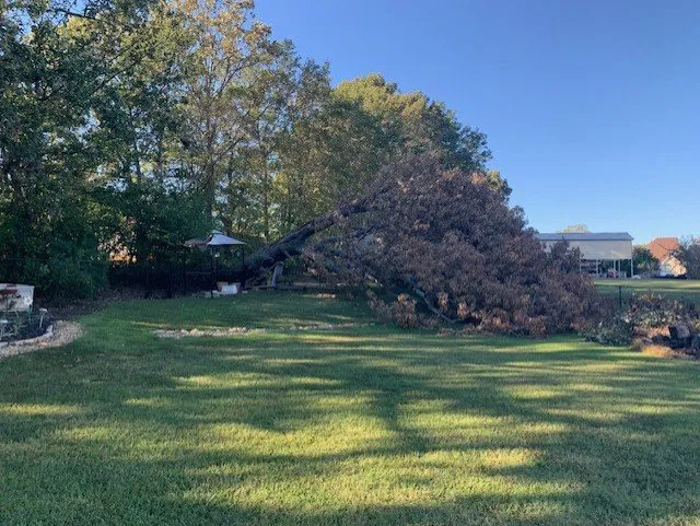 Local outdoor landscaping in Anderson, SC - David's Complete Lawn & Tree Service