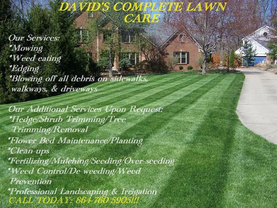 Local yard cleanup service in Anderson, SC - David's Complete Lawn & Tree Service