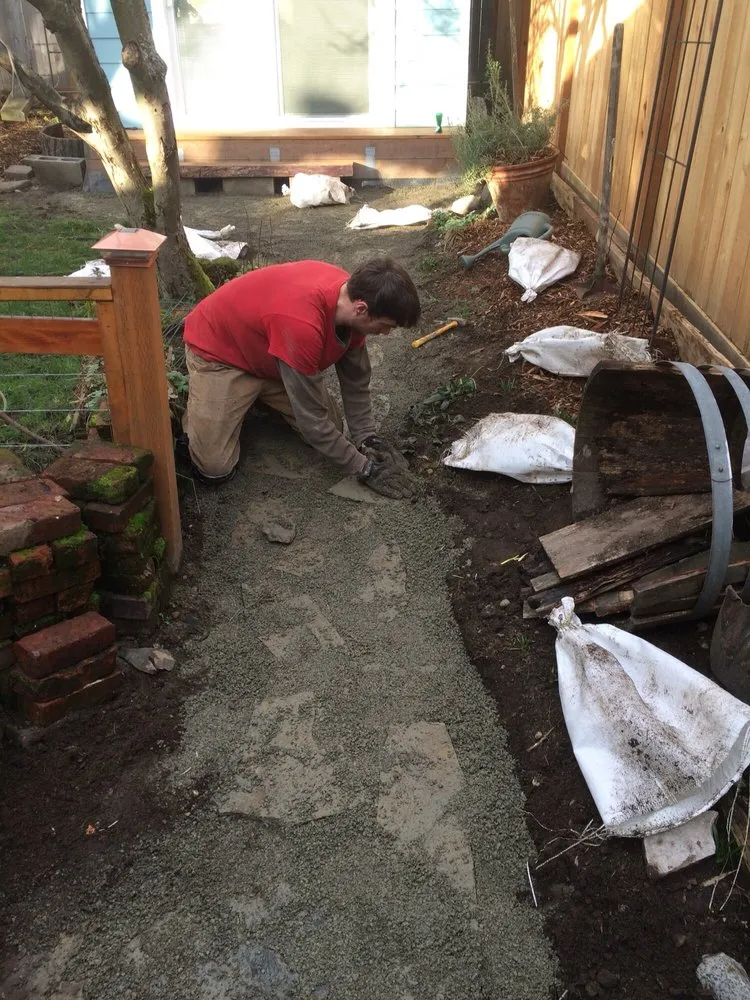Affordable yard maintenance experts serving Shoreline, WA - David's Gardens