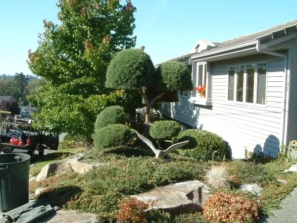 Trusted landscape design for beautiful yards across Shoreline, WA - David's Gardens